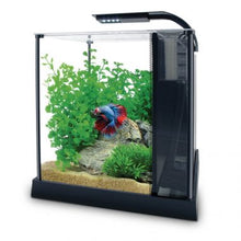 Load image into Gallery viewer, Fluval Betta Premium Aquarium Kit, 2.6 US Gal / 10 L