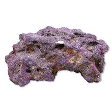 Load image into Gallery viewer, LifeRock Dry Live Rock