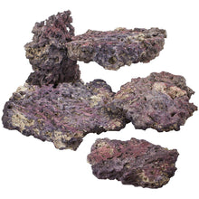 Load image into Gallery viewer, LifeRock Shelf Dry Live Rock