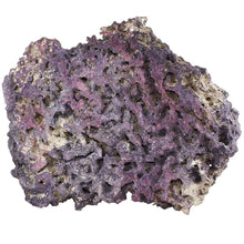 Load image into Gallery viewer, LifeRock Shelf Dry Live Rock