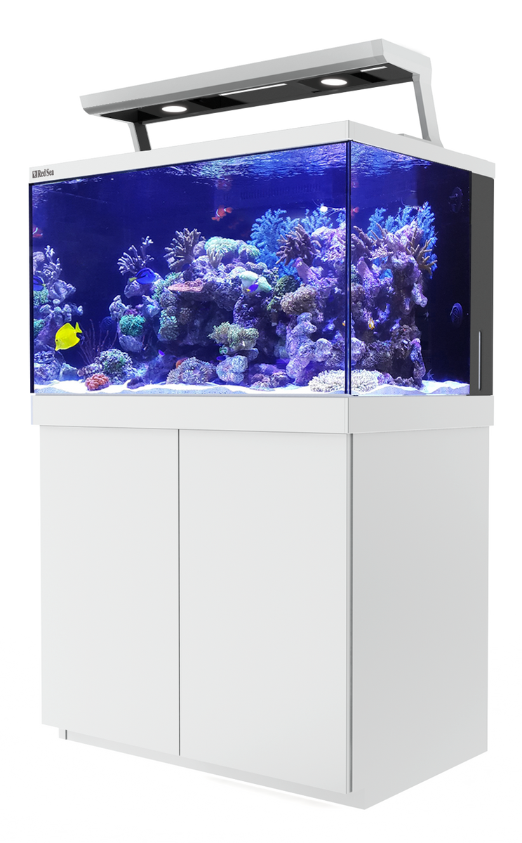 Aquarium 2024 560l +Diskuse