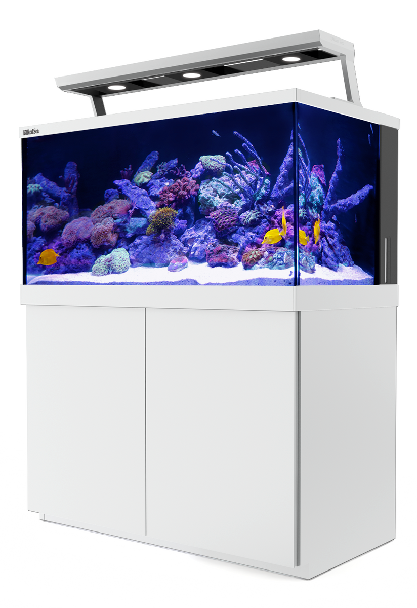 Red Sea MAX S500 Complete AllinOne LED Reef Aquarium 135 Gallons