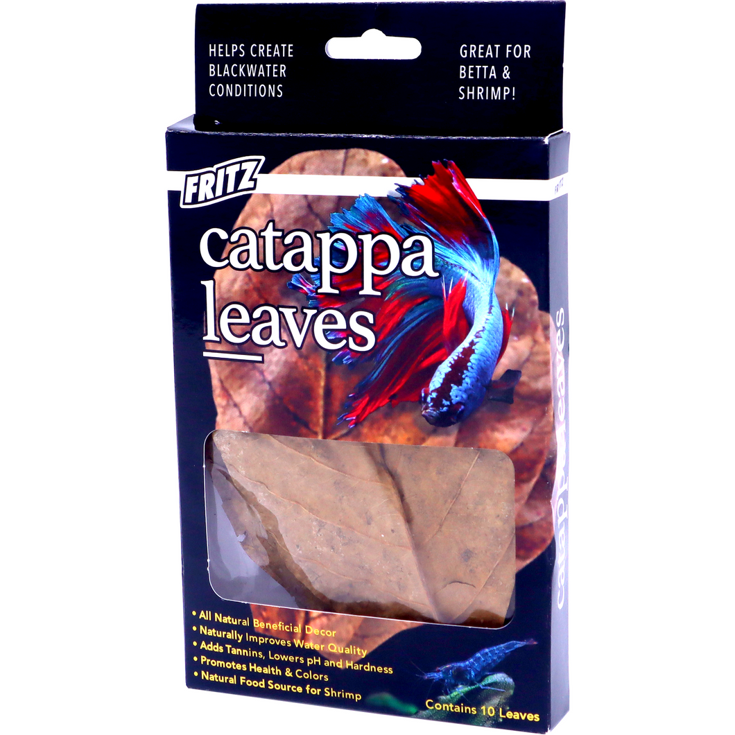 Fritz Catappa Leaves (10 pack)