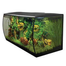 Load image into Gallery viewer, Fluval Flex Aquarium Kit, 32.5 US Gal (123 L), Black - IN-STORE PICKUP ONLY
