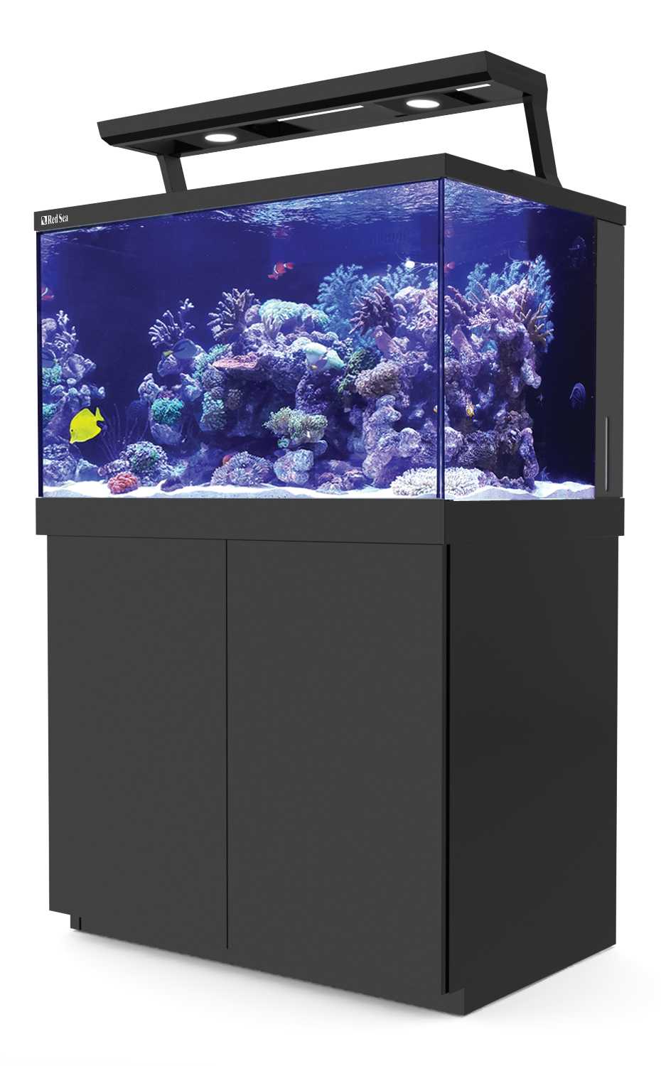Red Sea レッドシー Red Sea レッドシー REEF LED 160 サンゴ 257769 1個（直送品