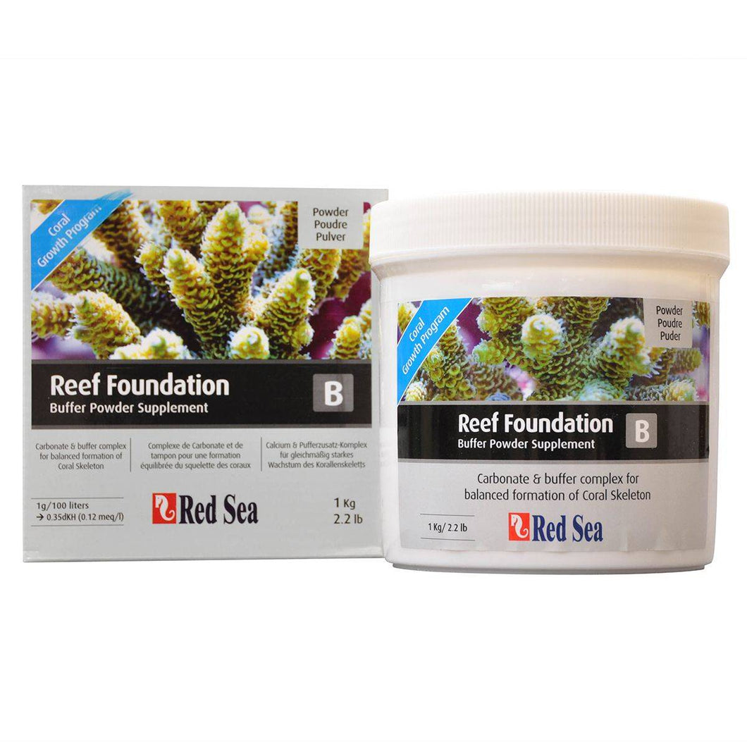 Red Sea Reef Foundation B