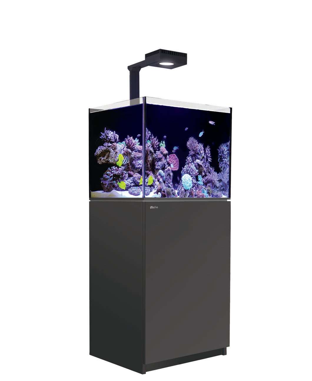 Red Sea REEFER-170 G2 Deluxe Premium Reef Aquarium 44 Gallons Reef-Ready LED Systems