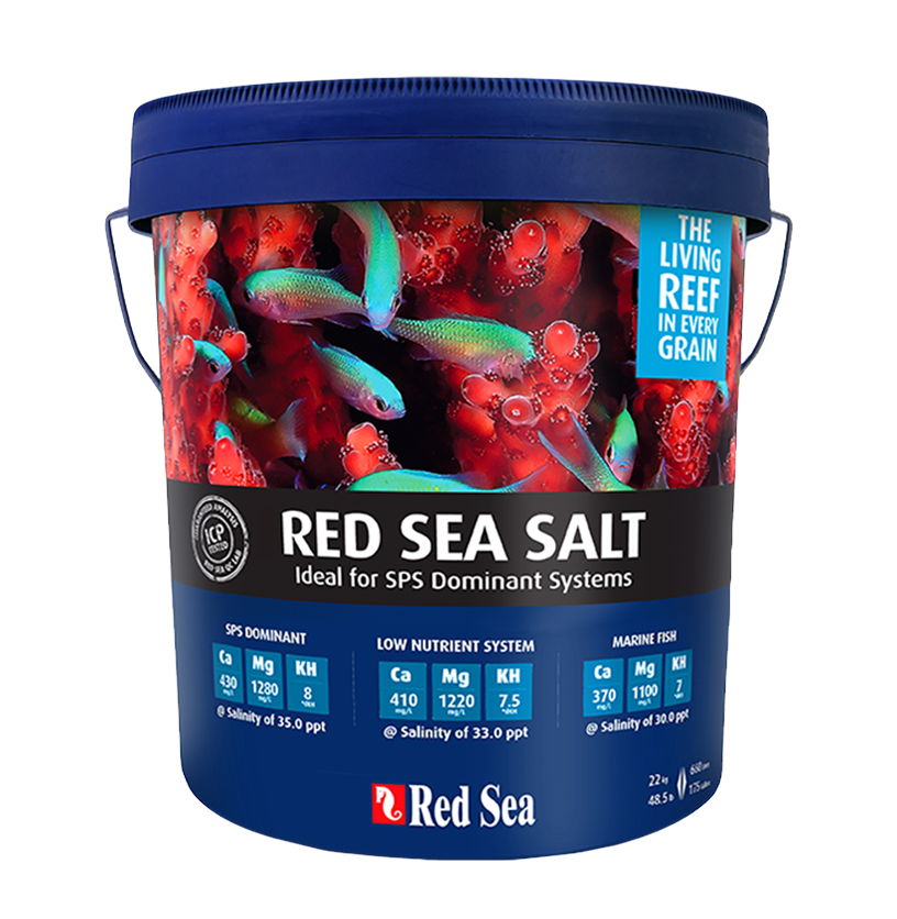 red sea salt blue bucket